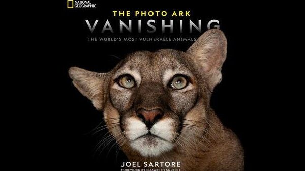 A wake-up call on saving endangered species